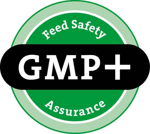 gmp logo